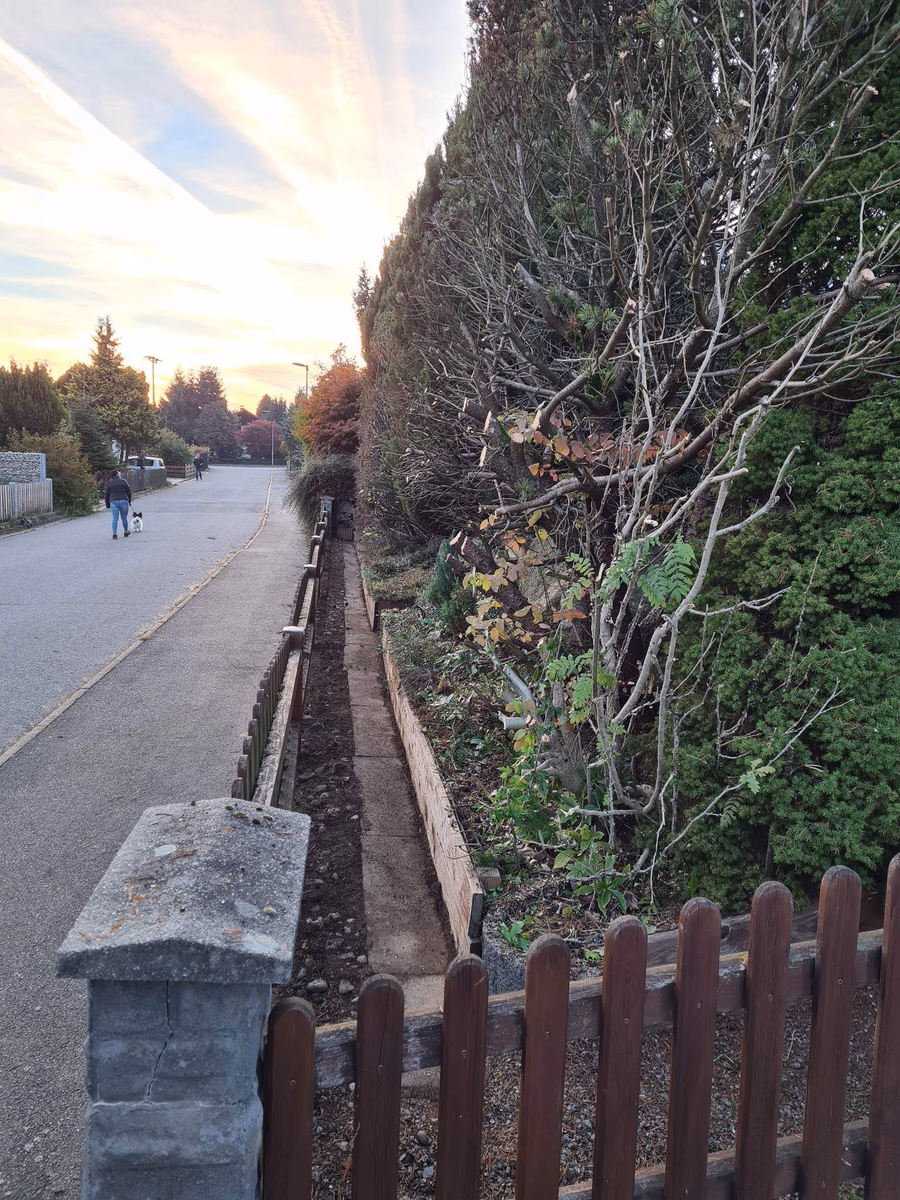 Frisch geschnittene Hecke und gepflegter Gehweg entlang eines Grundstücks – Grünpflege durch den Hausmeisterservice von G&N Transporte in Straubing